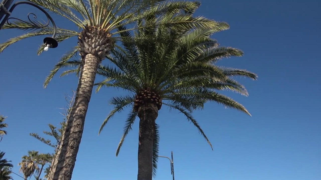 Италия. Сан Ремо. Sanremo. Italy