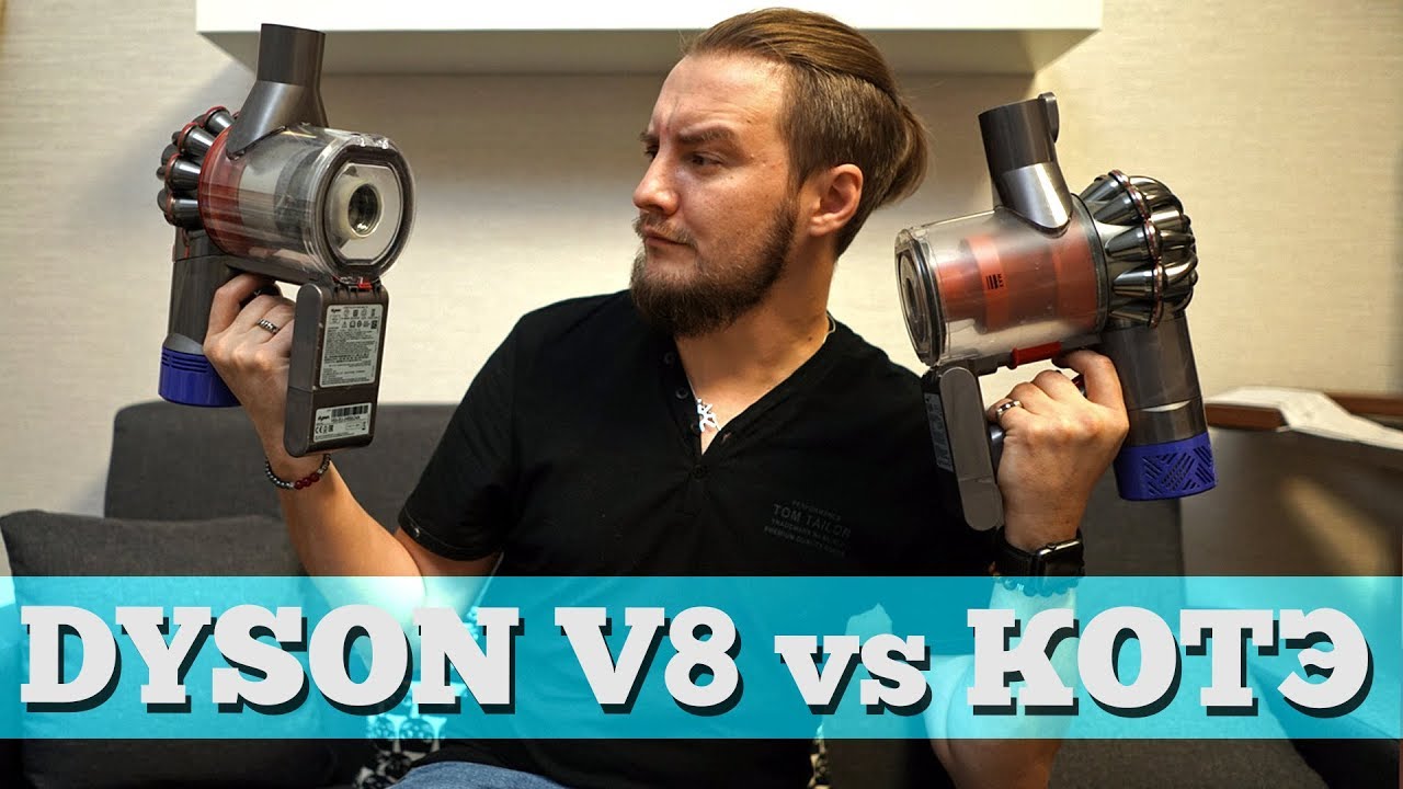 Dyson V8 против двух Мейн-кунов!