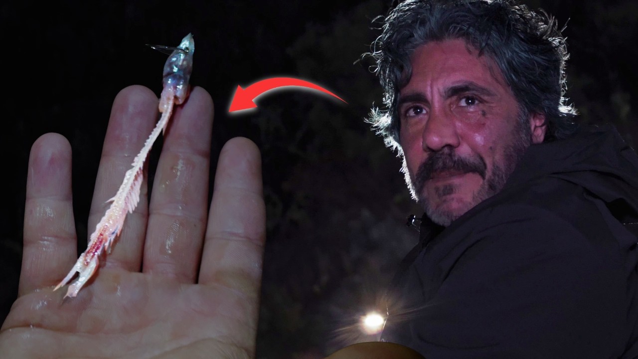 L'esca ANTICA che fa catturare branzini XXL - ALICESIMO