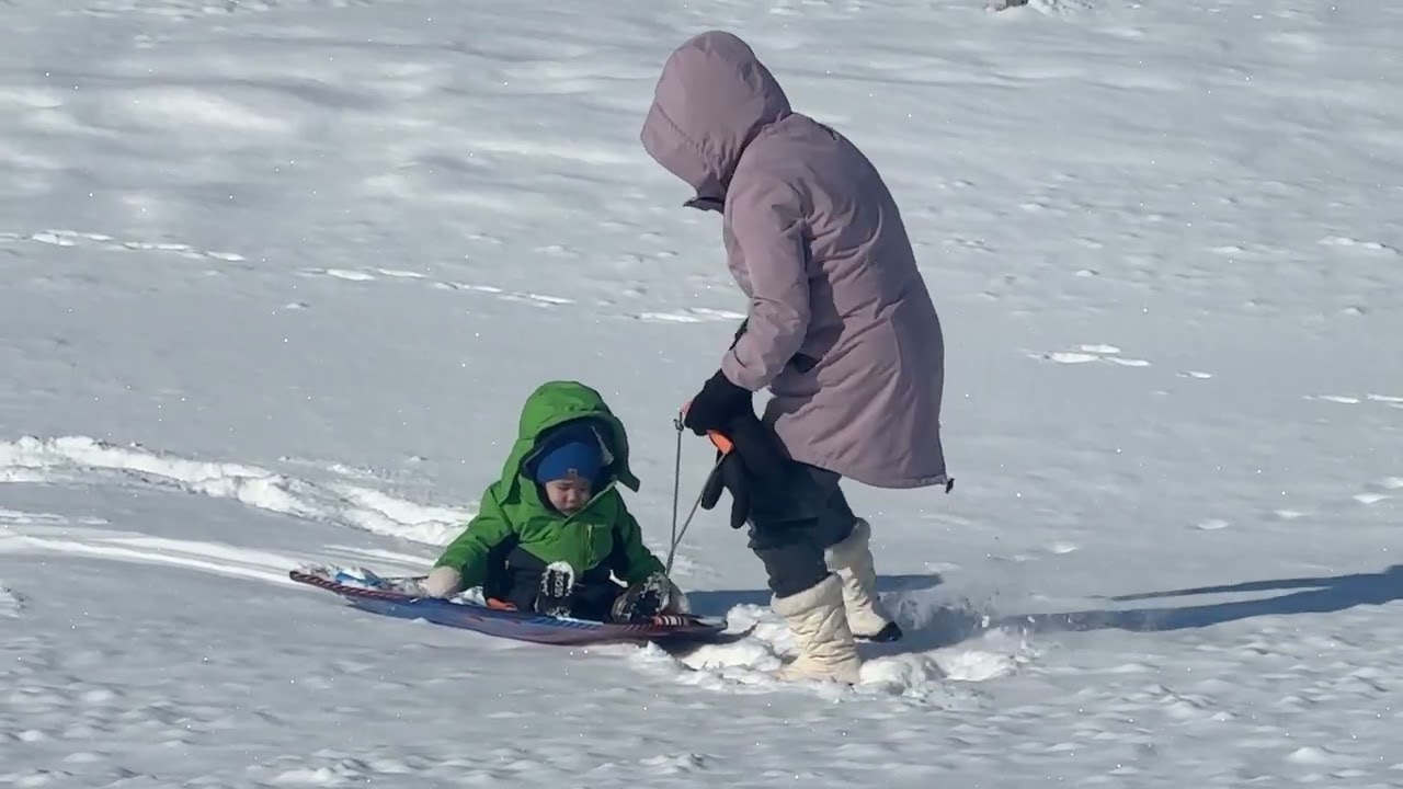 Brix sledding 🛷