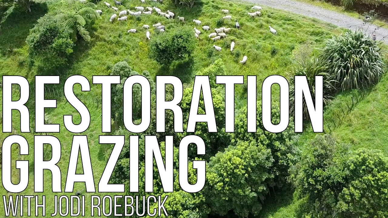 RESTORATION GRAZING with Jodi Roebuck