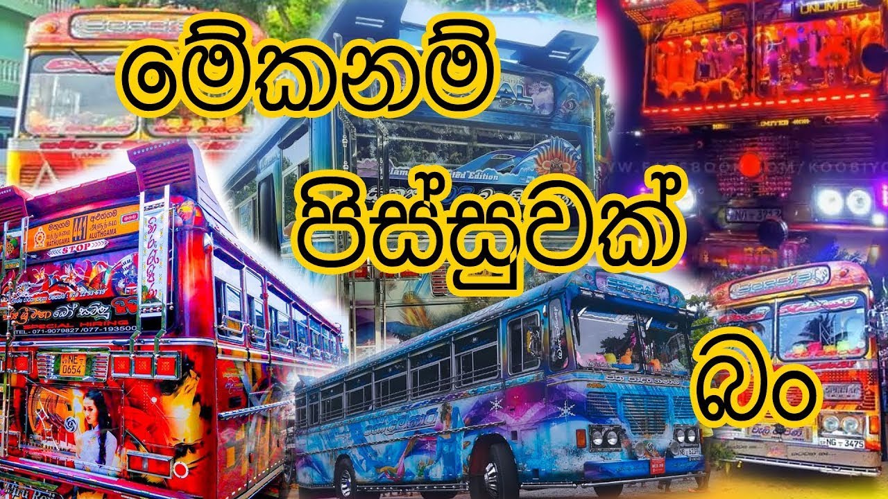 buc piccanta උපහාරයක් 🚌