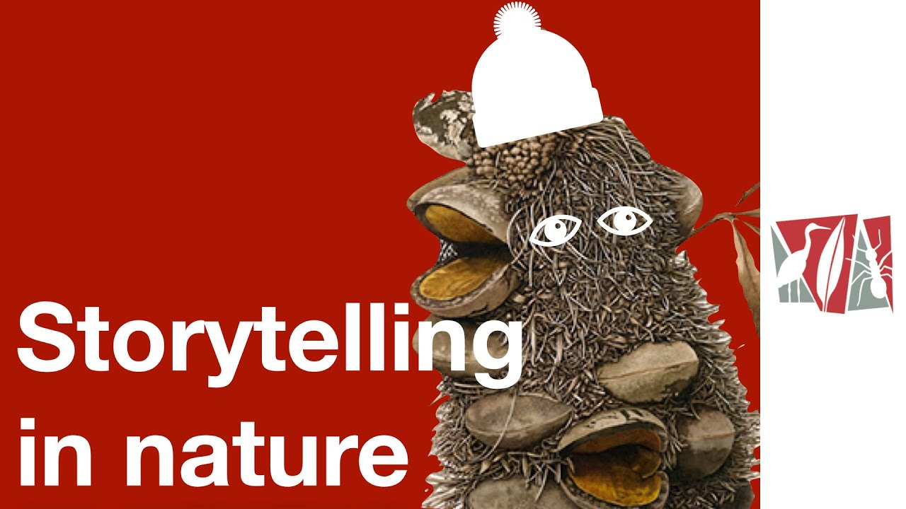 Storytelling in nature