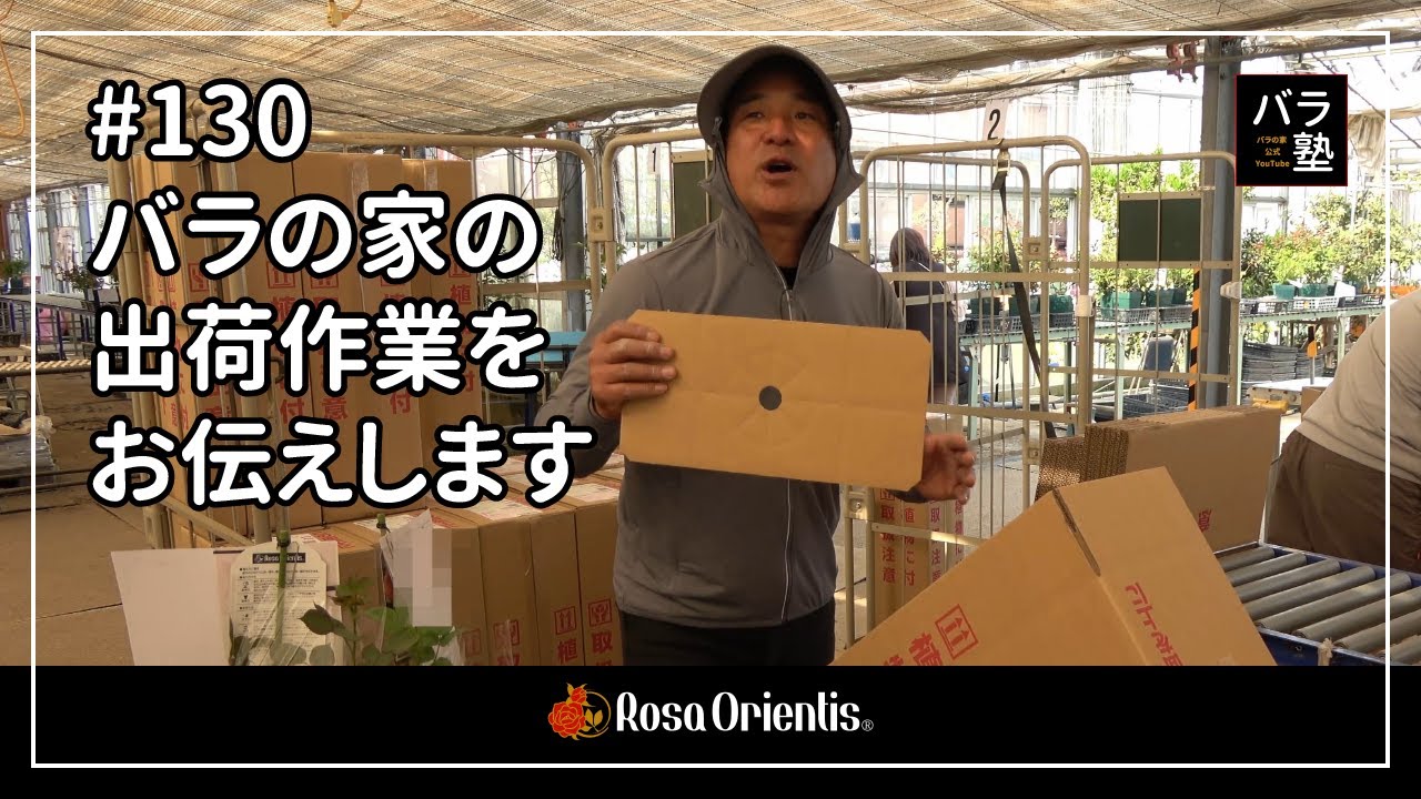 #130 バラの家の出荷作業をお伝えします