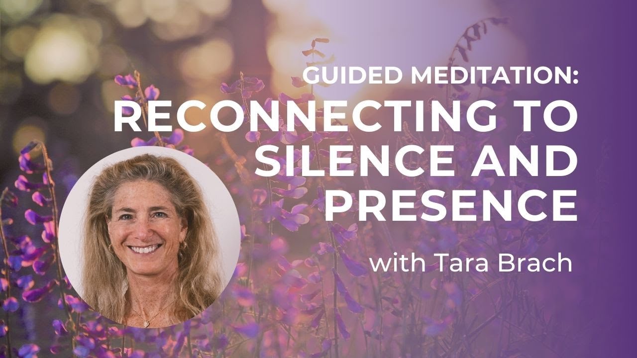 Guided Meditation: Reconnecting to Silence and Presence with Tara Brach