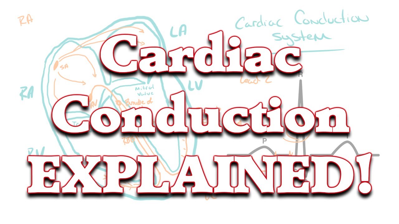 Cardiac Conduction Pathway | Something In About 5 Minutes | Medic Materials