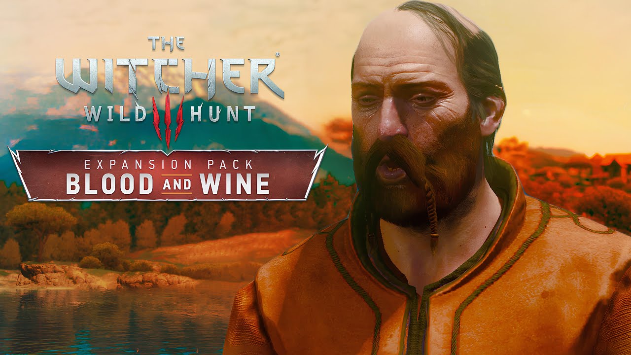 КУЛАЧНЫЙ БОЙ С ЧЕМПИОНОМ! - The Witcher 3: Wild Hunt - Blood and Wine #11