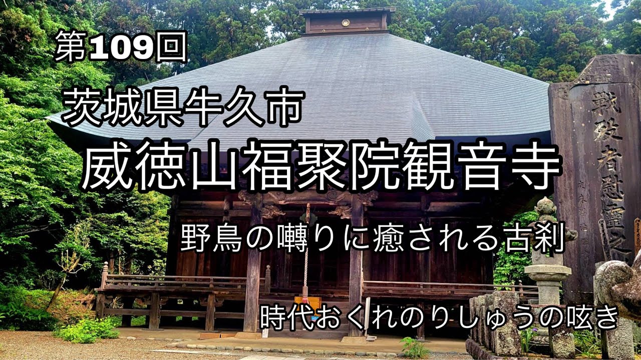 野鳥の囀りに癒される古刹『観音寺』豊かな緑の中に歴史ある寺院　牛久市
