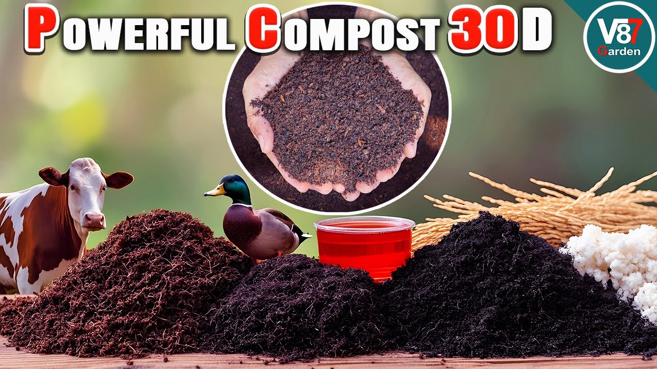 How to Make Powerful Organic Compost from Cow and Duck Manure | Easy Step-by-Step Guide