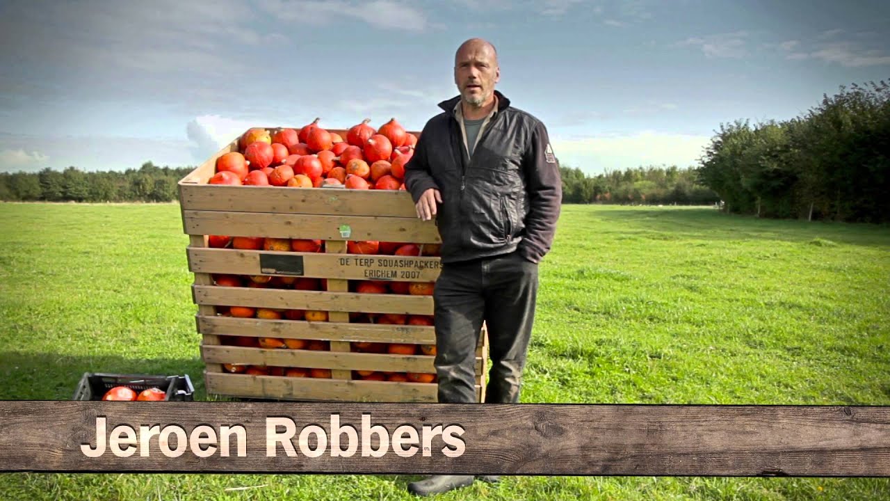 Goeie vraag over pompoen