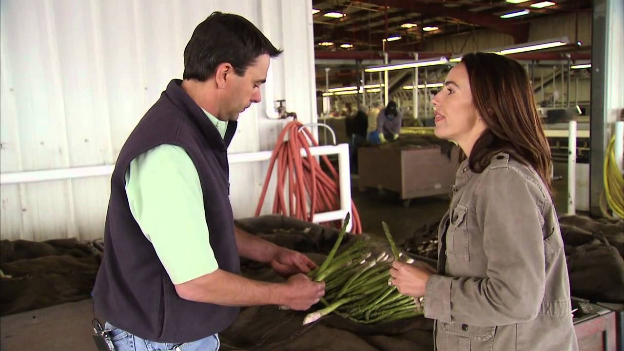 California Asparagus Farming - America's Heartland