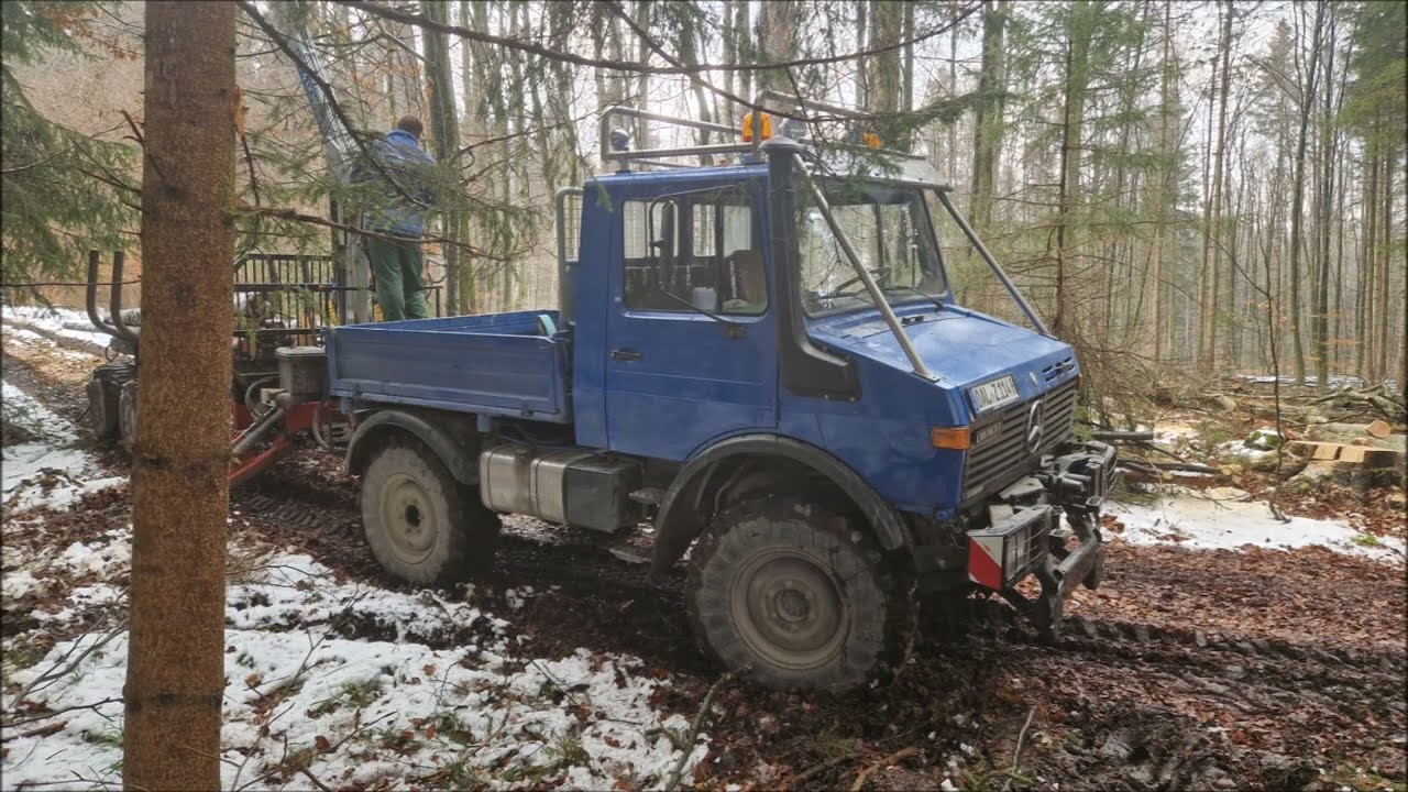 Waldarbeit, Buche fällen, Rückewagen, Unimog, Fendt, Riesige Buche fällen extrem