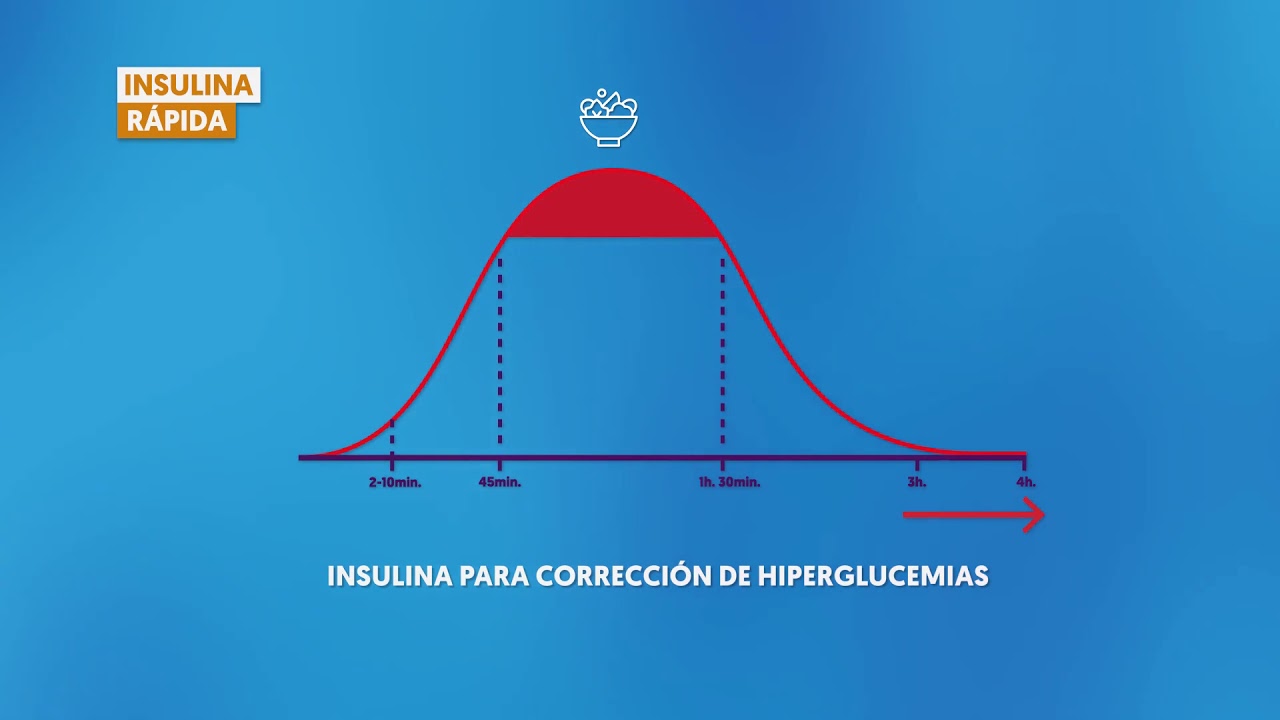 Insulina basal e insulina rápida