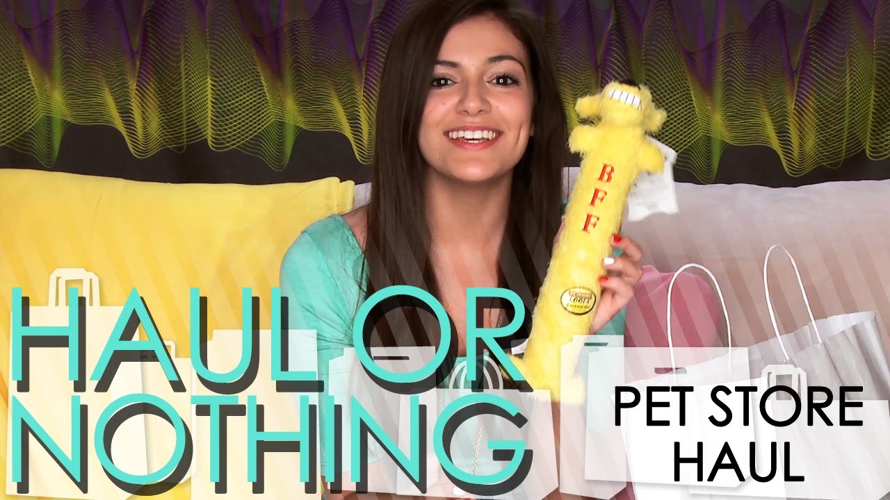 Haul or Nothing: Pet Store Haul [Part 2/2]