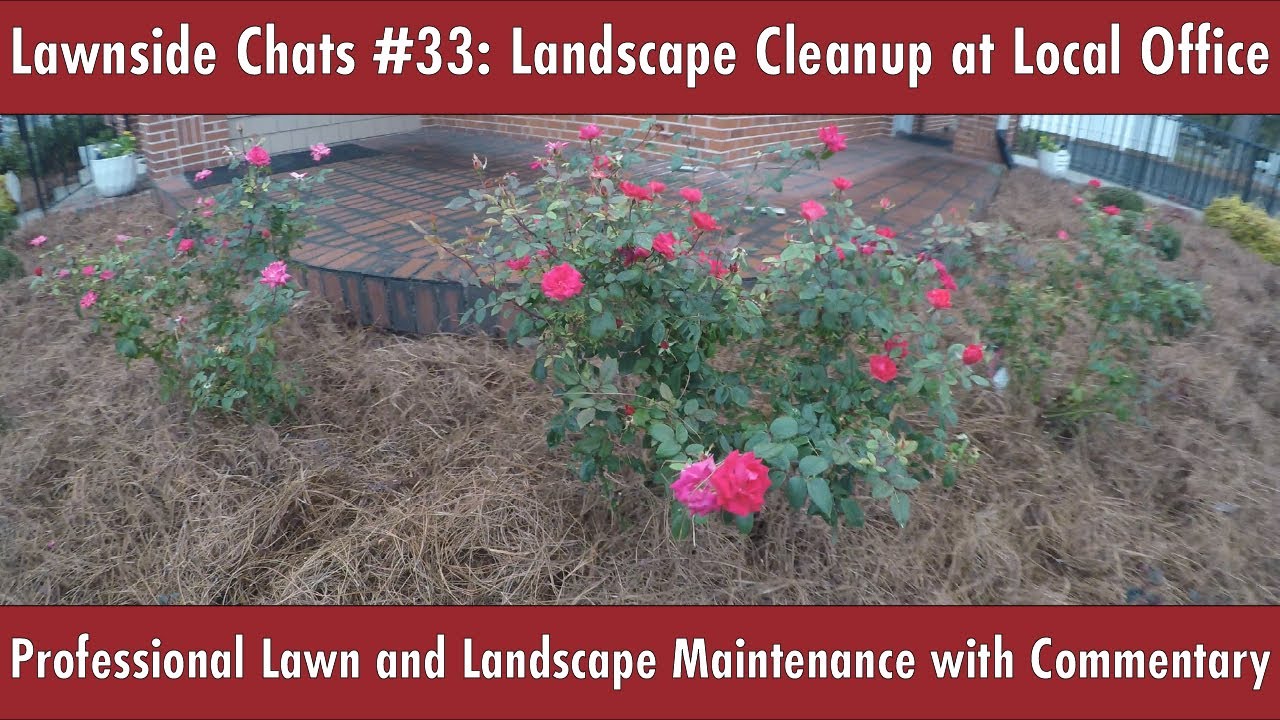 Fall Landscape Cleanup For Local Office | Lawnside chats #33