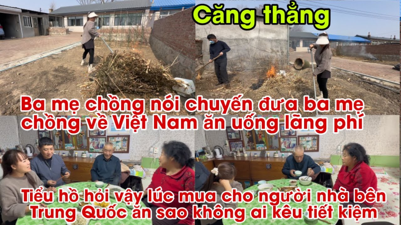 #811🇨🇳Ba Mẹ chồng Ch&ecirc; Tiểu hồ l&atilde;ng ph&iacute; ở Việt Nam,Vậy Mua cho Người Trung Quốc ăn sao kh&ocirc;ng l&atilde;ng ph&iacute;