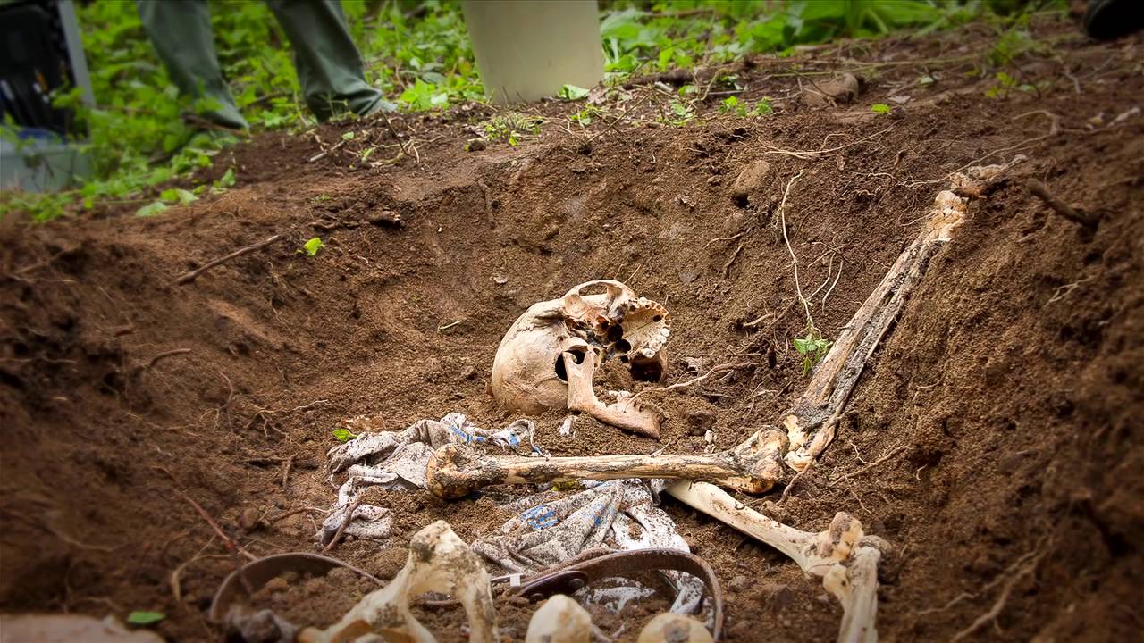 Investigating Forensics: SFU Criminology