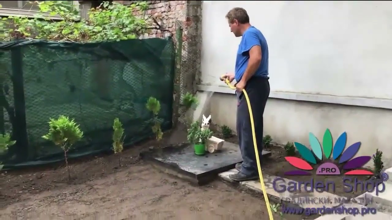 How to plant grass seeds in Australia