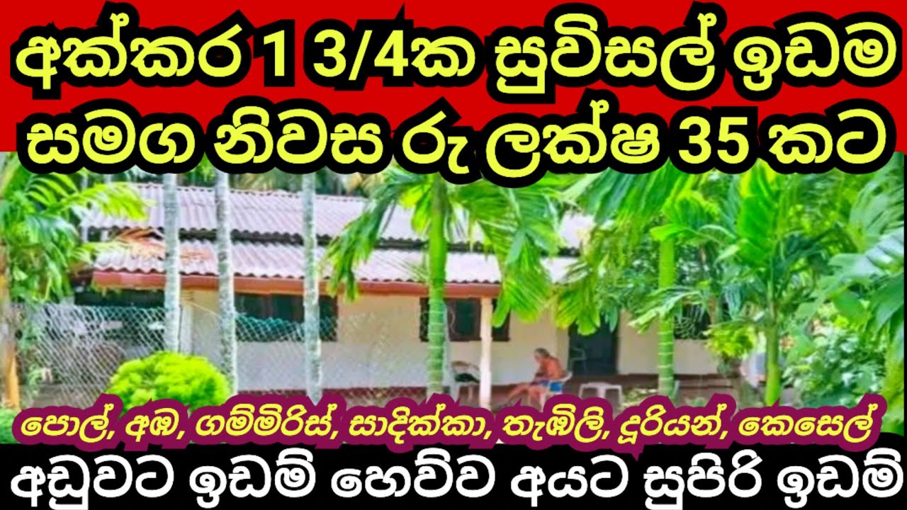 අක්කර 1 3/4 ක සුවිසල් ඉඩම හා නිවස රු ලක්ෂ 35 කට | Coconut land | Aduwata idam | Land for sale | Idam