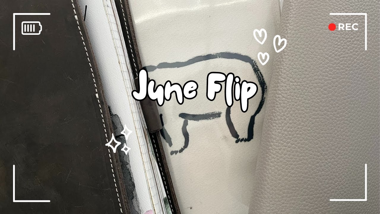 June Flip Through | Sterling Ink | Planner Perfect | Cocoa Daisy
