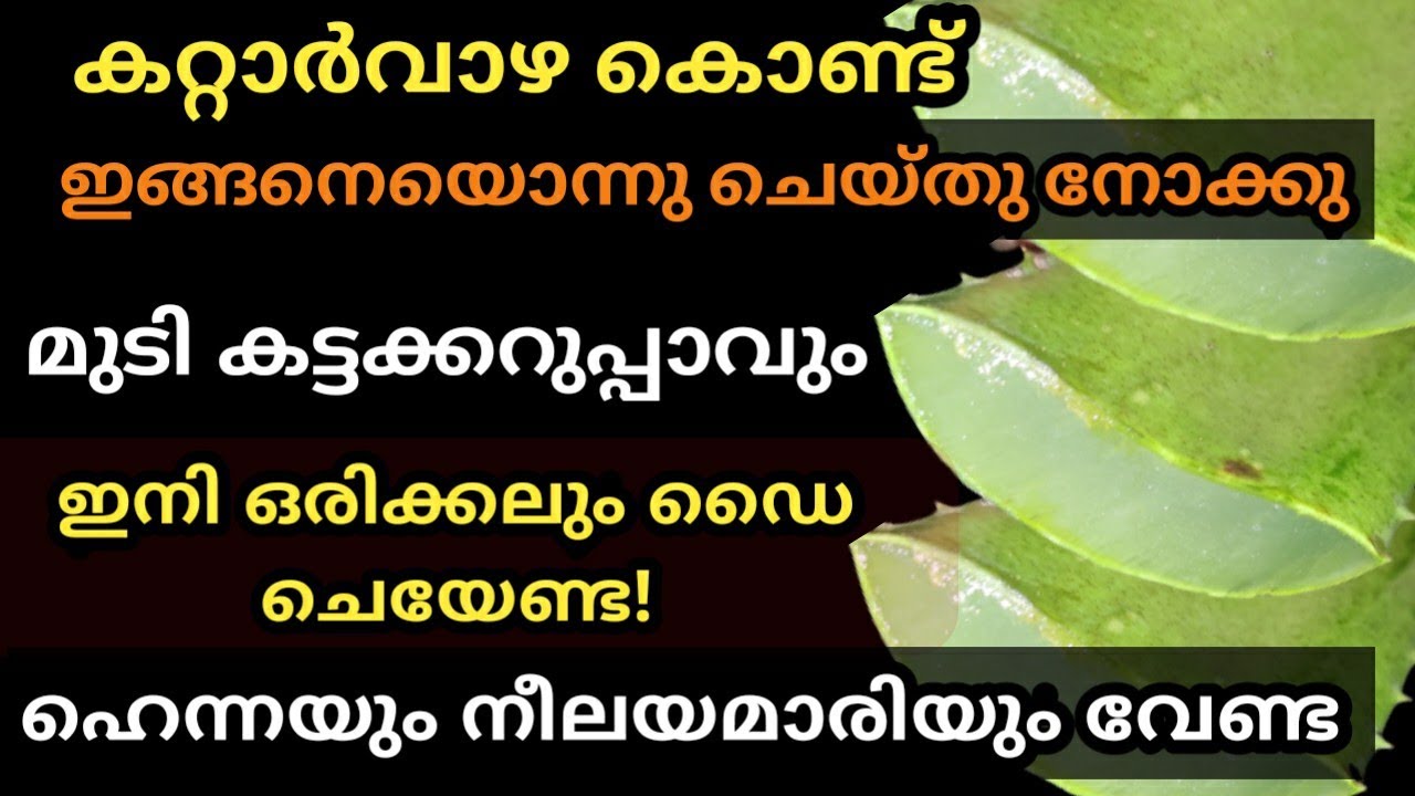 ഇനി ഡൈ ചെയേണ്ട കട്ട കറുപ്പിൽ മുടി തഴച്ചു വളരും|Homeremedy For Hair Fall