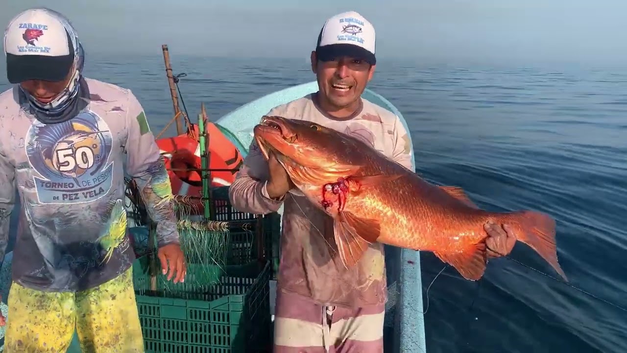 Se hizo la parguiza!! Gallos, robalo, pargos (Casi me muerde esta culebra)