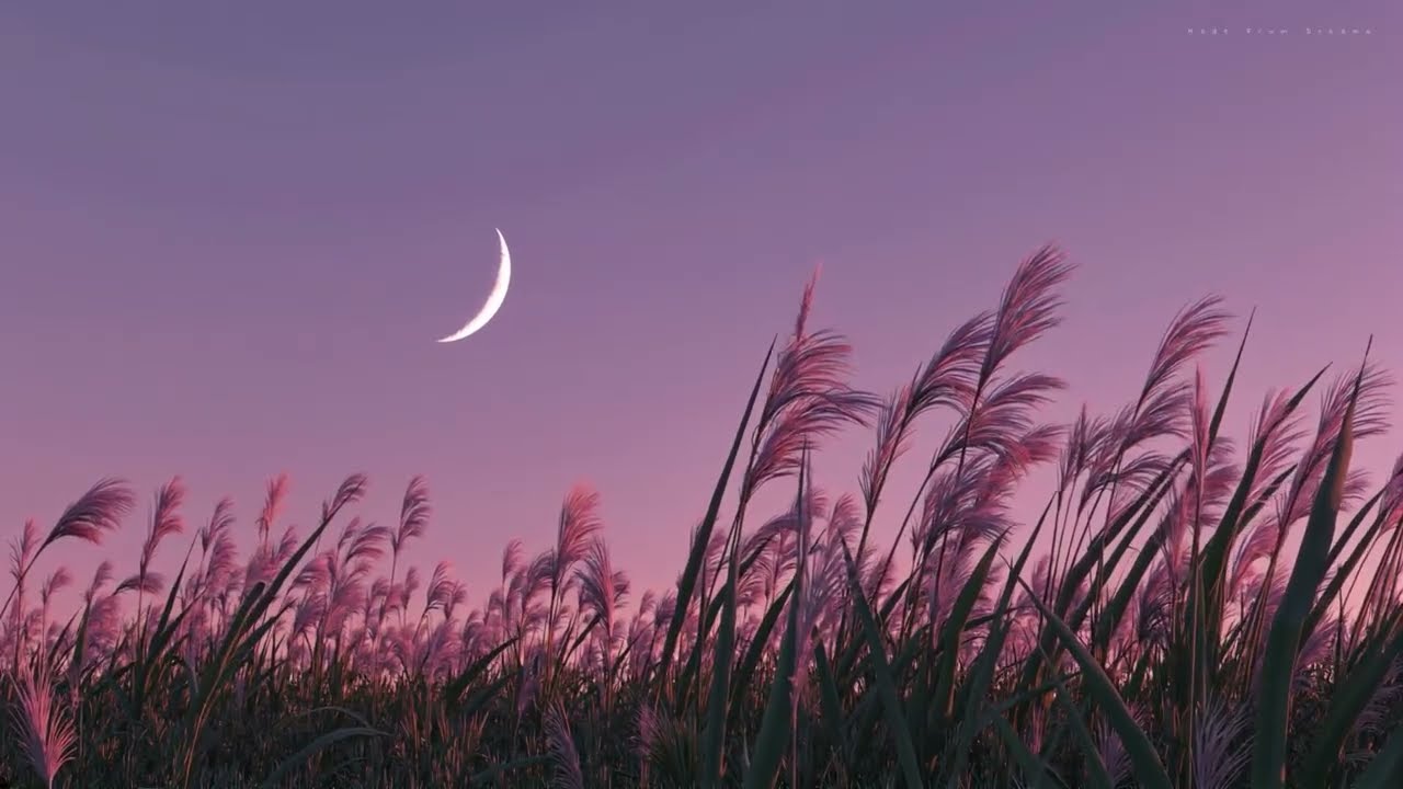 𝐭𝐡𝐚𝐭 𝐢𝐭'𝐬 𝐨𝐤𝐚𝐲... 𝐭𝐨 𝐝𝐨 𝐭𝐡𝐢𝐧𝐠.