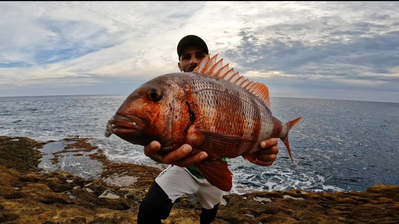 Pesca de gran urta con MAGNUS FISHING 🔴COSTA BLANCA 