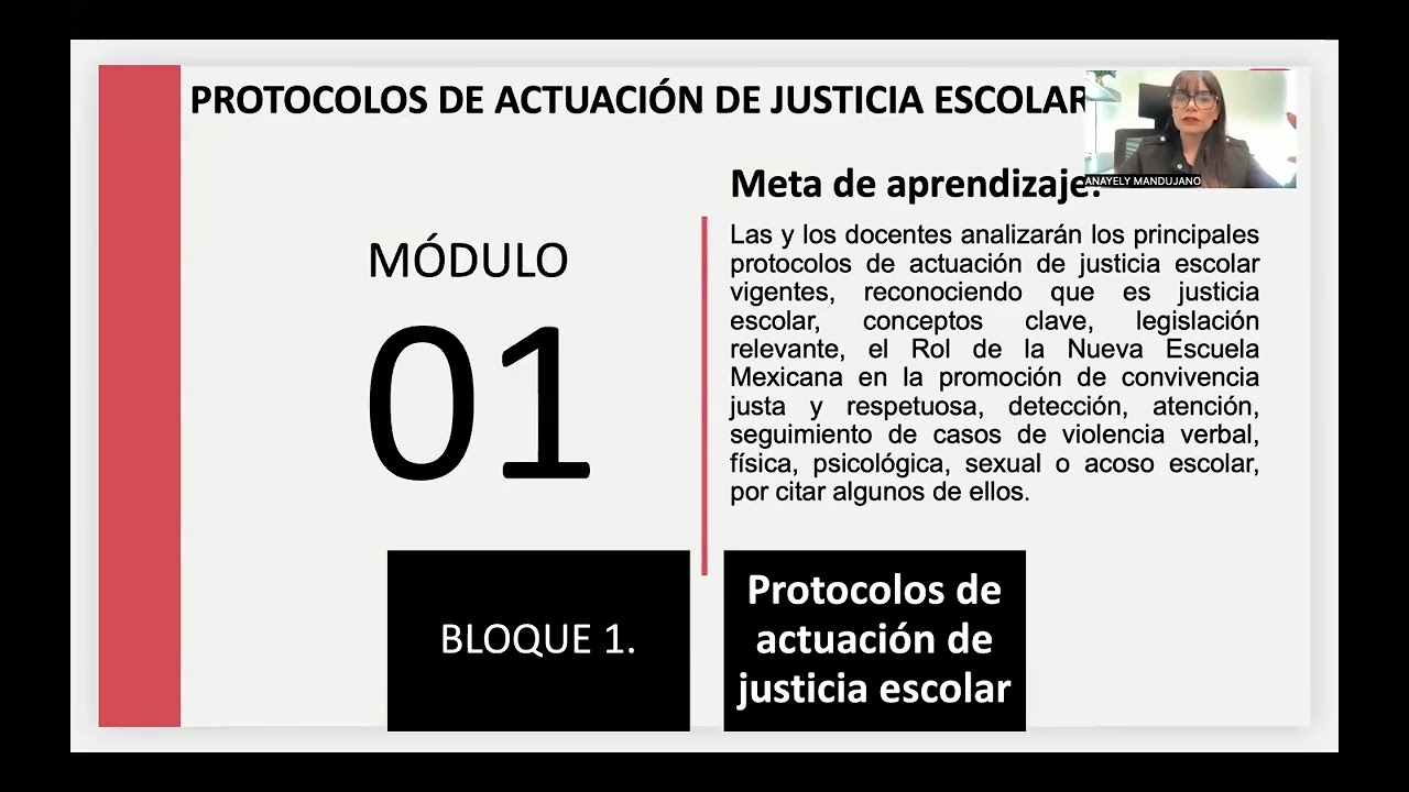 IIIEPE-Justicia escolar en acción: De los protocolos a los proyectos preventivos