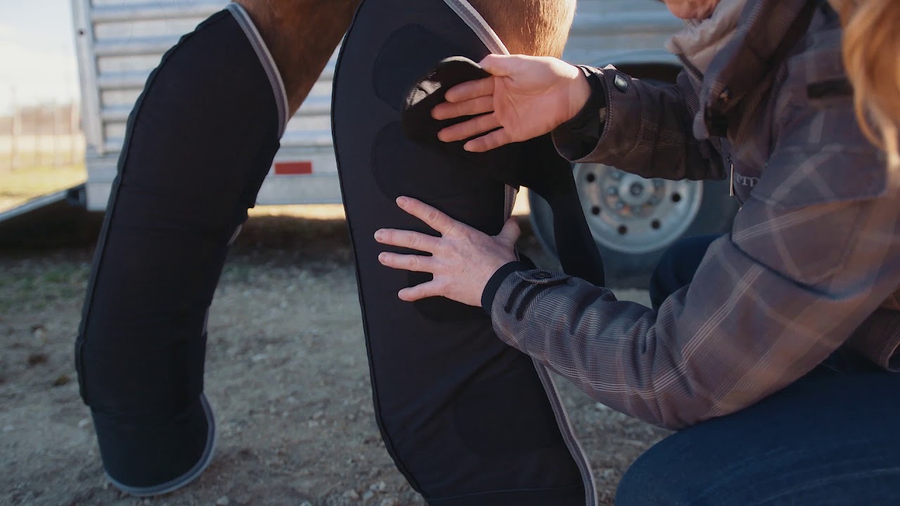 Horse Shipping Boots