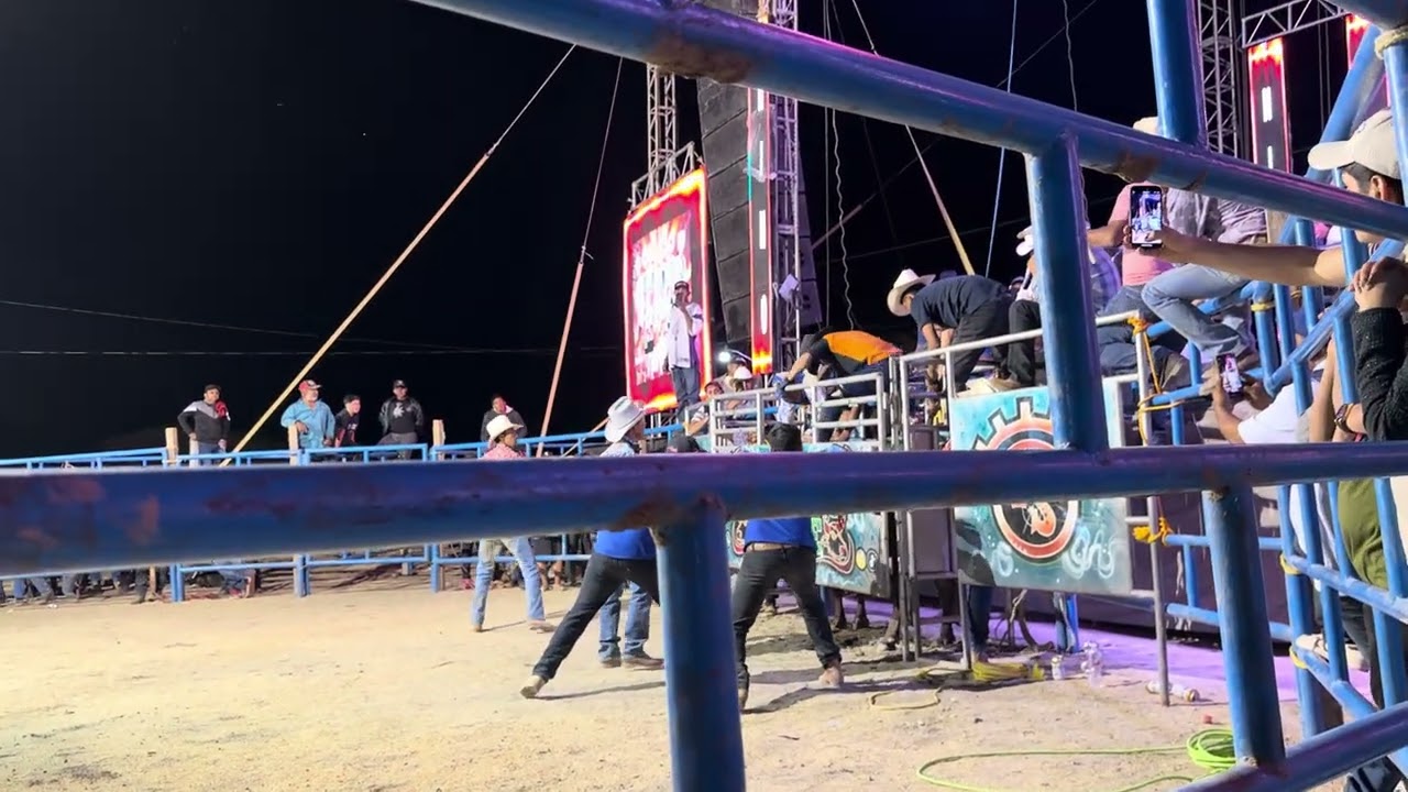 Jaripeo 2.11.26