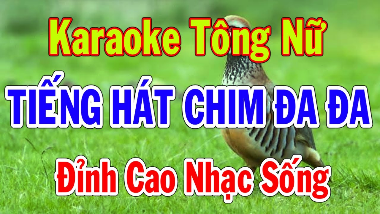 Tiếng Hát Chim Đa Đa Karaoke Tông Nữ Nhạc Sống Dễ Hát Thành Lý Organ