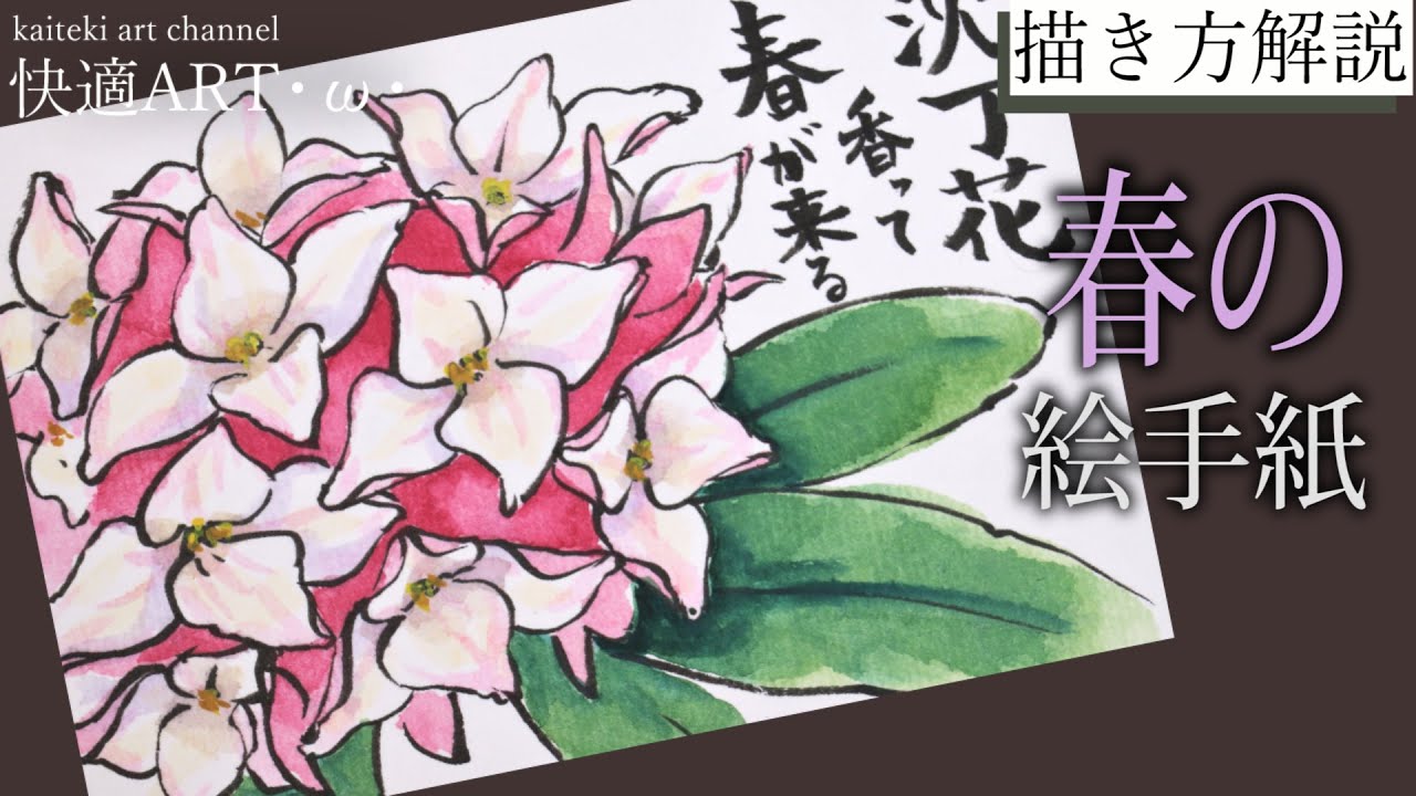 【解説】春の絵手紙『沈丁花』2月・3月・4月　初心者向け簡単でリアルな花の描き方解説　三大香木