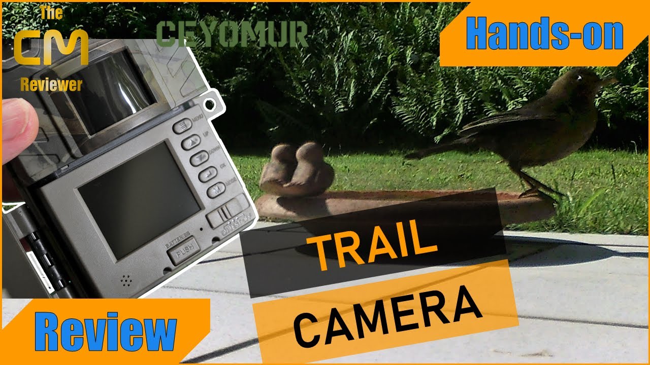 CEYOMUR CY50 Test: Einfache Wildkamera IP66 IR 36 x 850nm 1080p Hands-on (Deutsch, eng. hints)