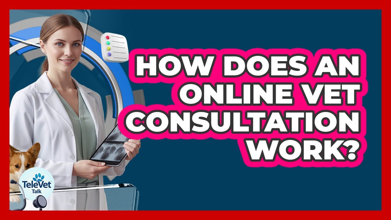 How Does an Online Vet Consultation Work?