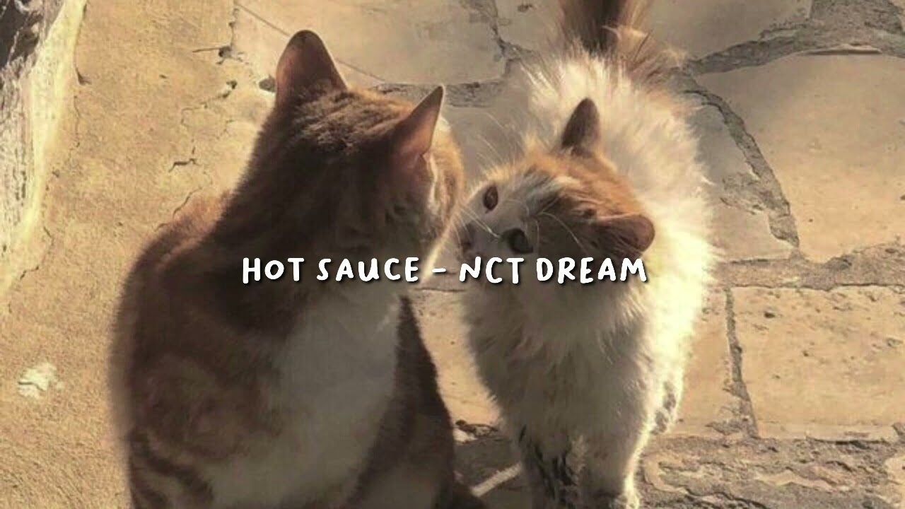 Hot sauce - Nct Dream (speed up)