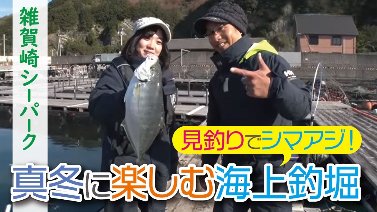 見釣りでシマアジ！真冬に楽しむ海上釣堀【雑賀崎シーパーク】