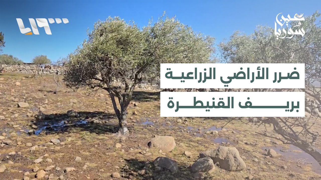 تضرر الأراضي الزراعية في ريف القنيطرة بعد رش الاحتلال الإسرائيلي مواد كيميائية مجهولة