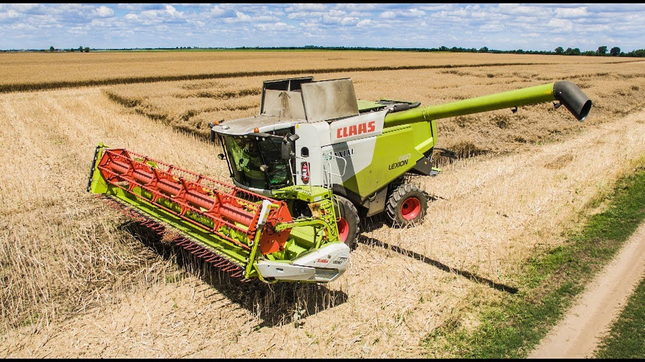 Repce aratás 2018 - Claas Lexion 660 + V770 + Belarus 1025.3 | MOISSON 2018