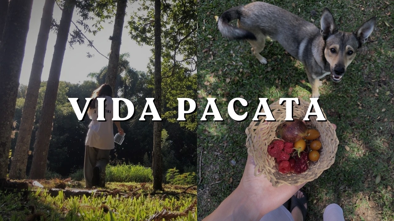 Natureza, leitura e bolo (delícia) de tapioca