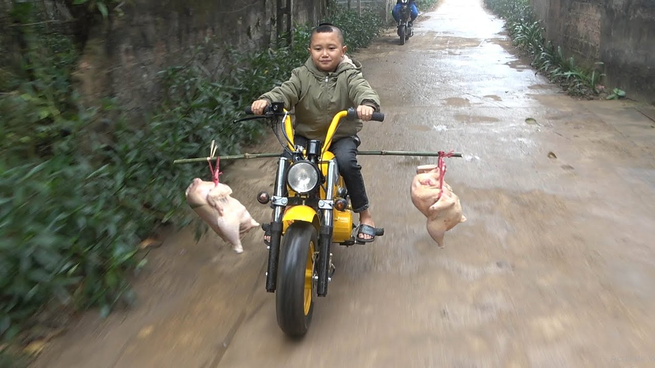 Gà Nướng Lu Tây Bắc - Cười Há Mồm Với Màn Gánh Gà Của Mao Đệ Đệ