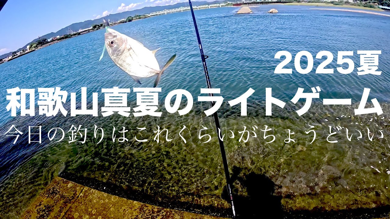 真夏の和歌山ライトゲーム　2025夏