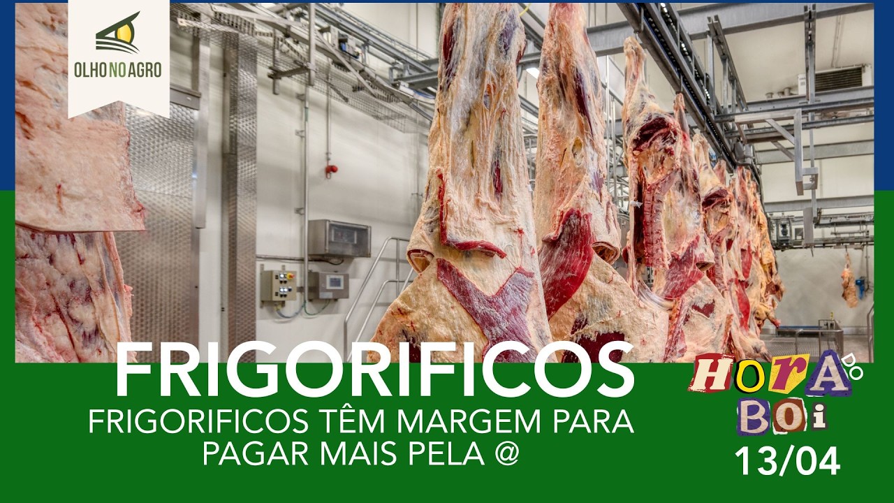 HORA DO BOI 13/04 - FRIGORIFICOS T&Ecirc;M MARGEM PARA PAGAR MAIS PELA @