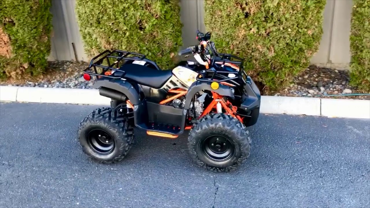 NEW 2021 Kayo Bull 125 ATV | RideNow Power Sports Tri-Cities
