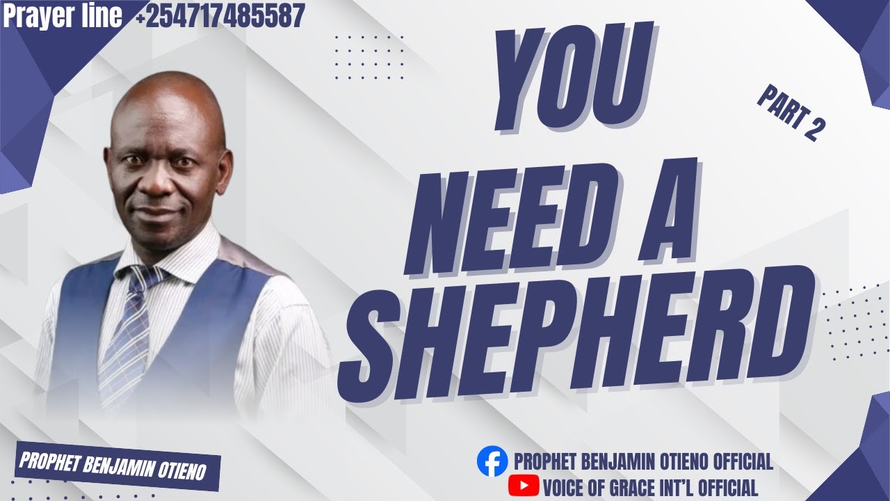 You Need A Shepherd 2