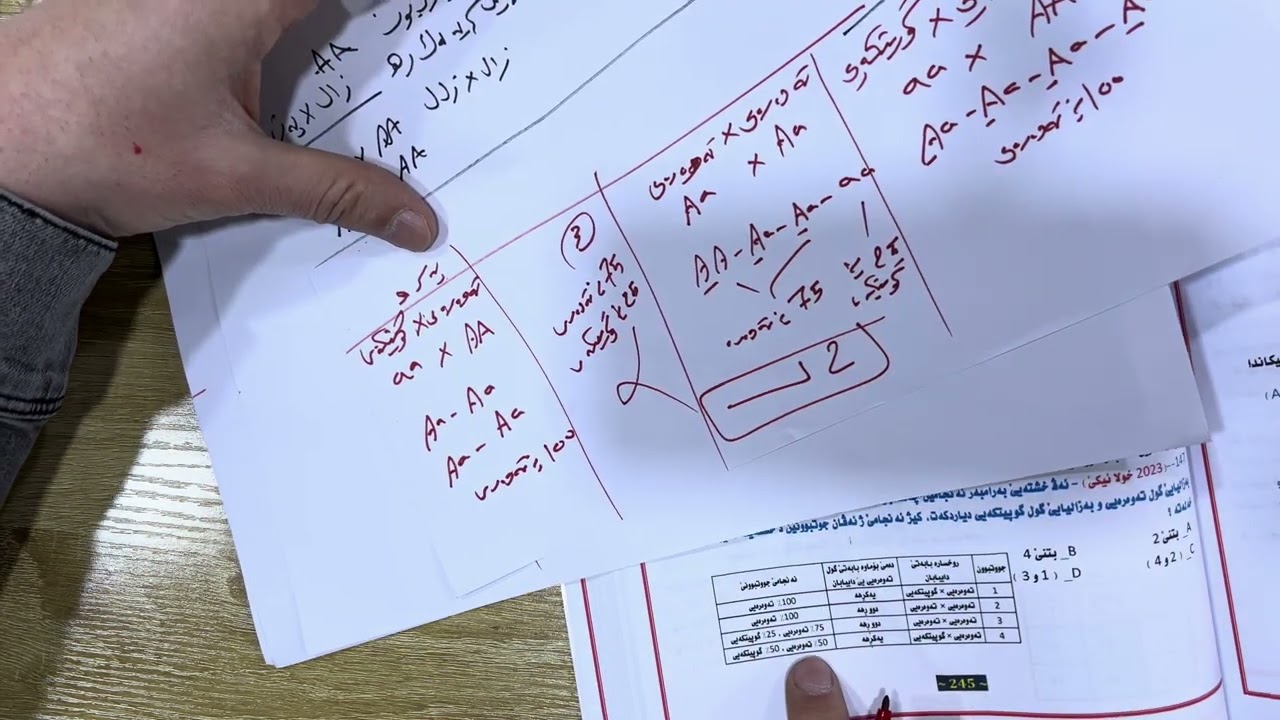 ( به ندي ٧ ) پرسیارێت ویزاری خولا ئێكێ و دوويي سالا ٢٠٢٣