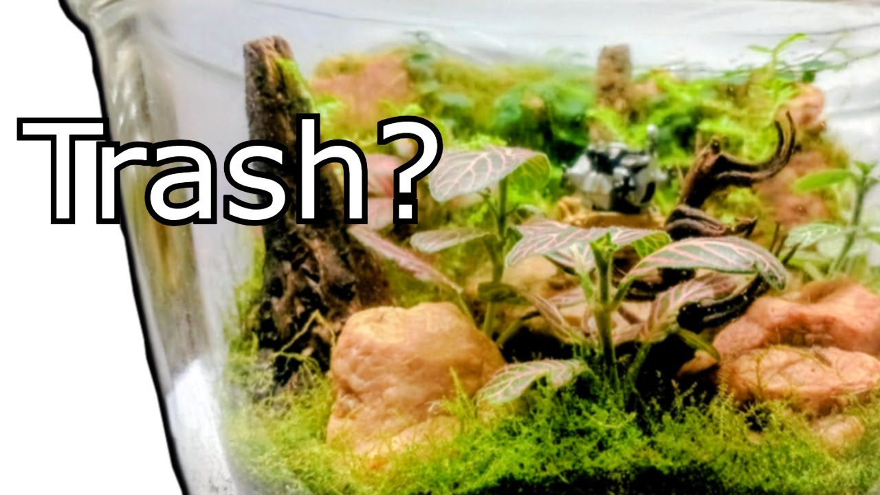 I Turned TRASH Into an Alien Planet Terrarium  | Easy Beginner DIY