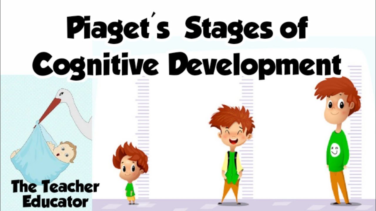 Piaget's Stages of Cognitive Development (പിയാഷേയുടെ  വൈജ്ഞാനിക വികാസഘട്ടങ്ങൾ)