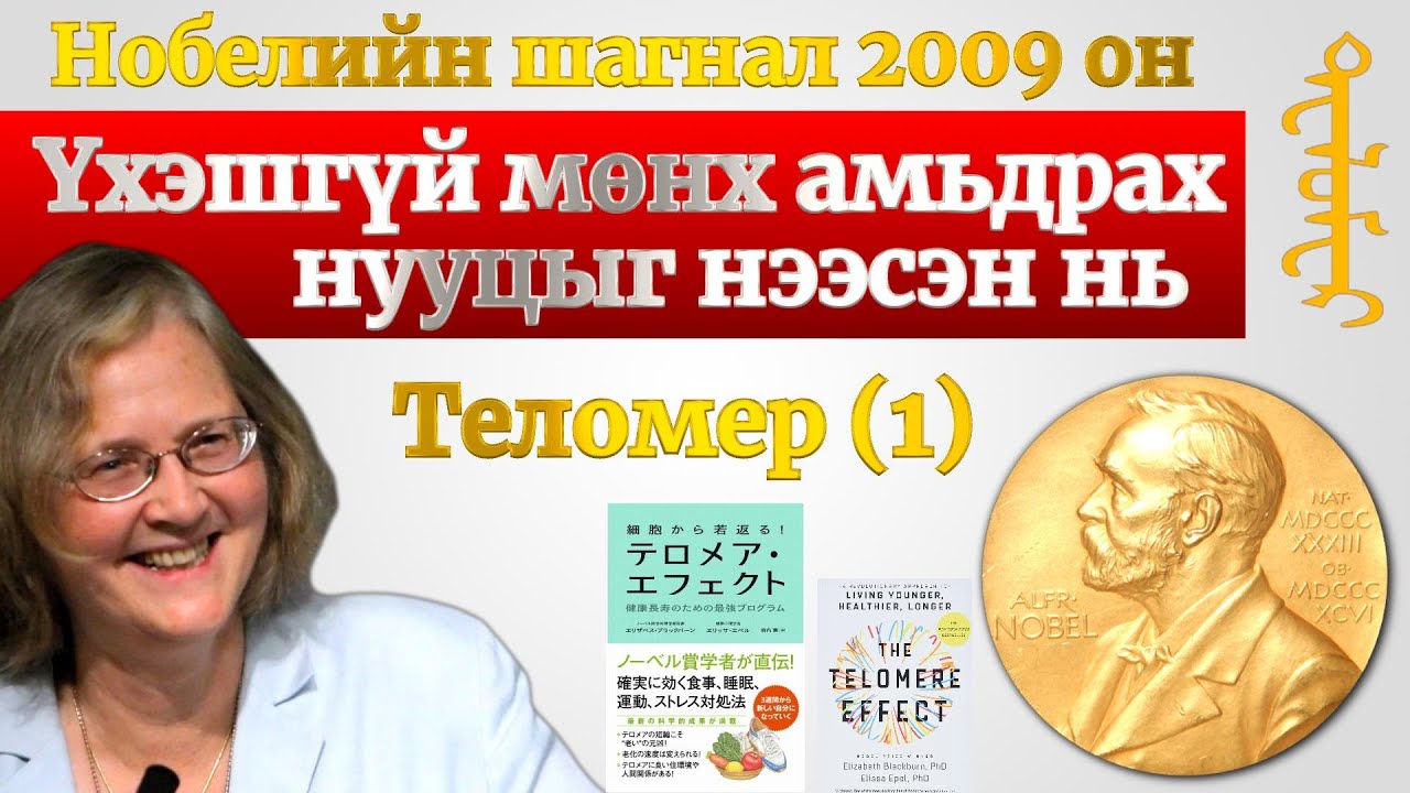 Үхэшгүй мөнх амьдрах нууцыг нээсэн нь буюу Теломерийн нөлөө（1）