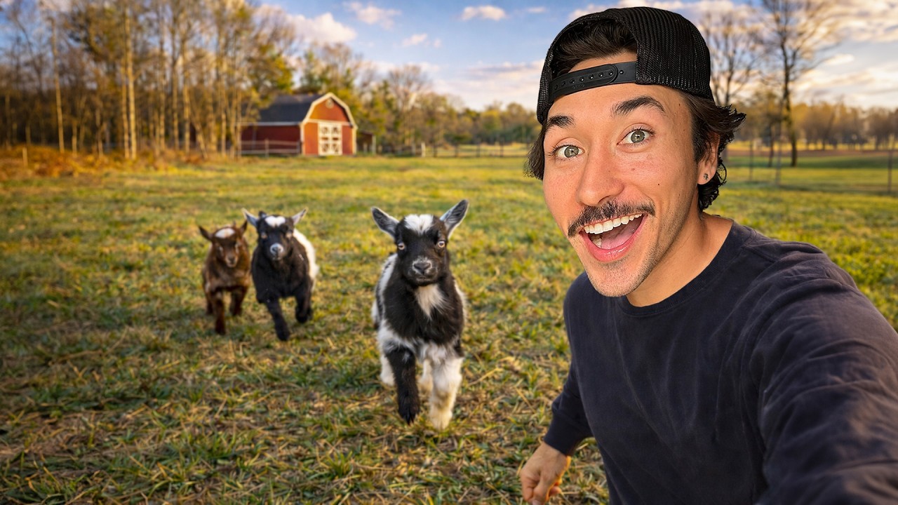 I Bought ANIMALS For The New Farm | Vlog 002